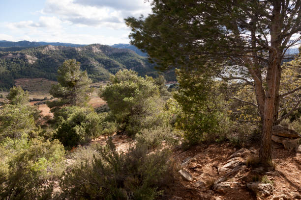istock Los Ports mountains 935644472