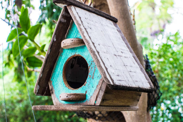 Bird's Nest is a beautiful house.