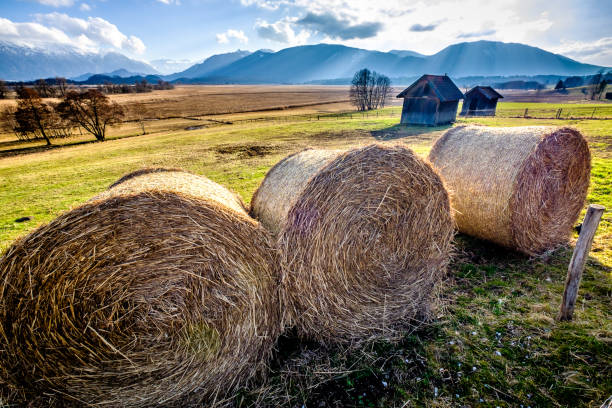 istock landscape murnauer moos - bavaria 935652608