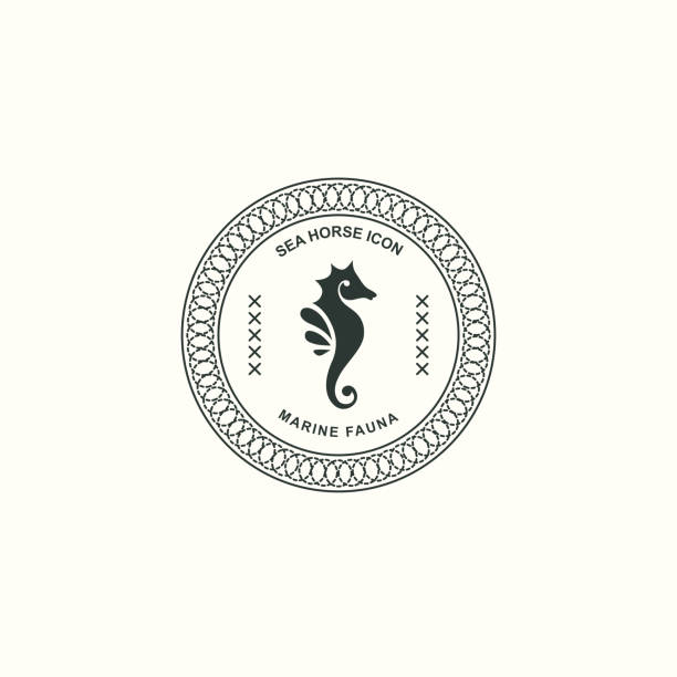 Vintage icon of sea horse. Oceanic icons. Emblem, signet with animals. Vector graphic illustration. Vintage icon of sea horse. Oceanic icons. Emblem, signet with animals. Vector graphic illustration. seahorse stock illustrations