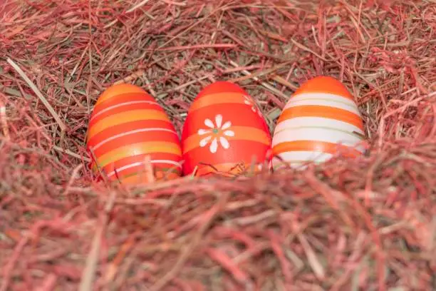 Traditional easter holiday festival celebration with three reddish eggs in hay straw in warm spring colors. Beautiful present symbol.