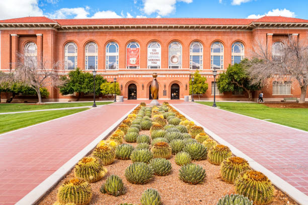 Arizona State Museum on the University of Arizona Campus in Tucson Students walk in front of the Arizona State Museum on the University of Arizona Campus in Tucson Arizona USA university of arizona stock pictures, royalty-free photos & images