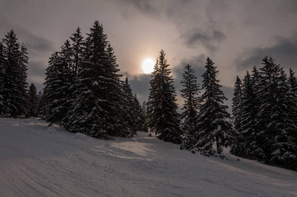 istock Beautiful sunset above the mountain Igman 935681388