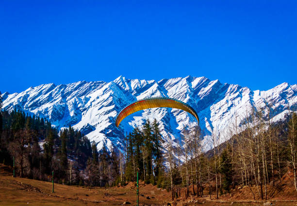 Paragliding in Solang Valley