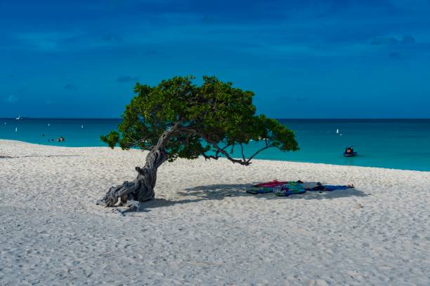istock color caribbean island 935688272