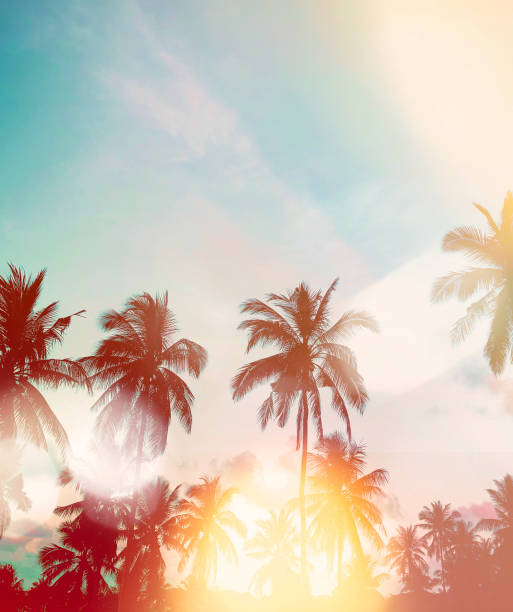 istock Vintage tropical sunset with silhouette palm trees. 935701936