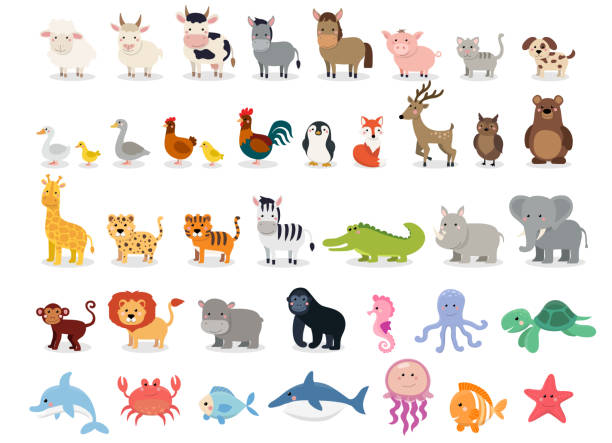 ilustraciones, imágenes clip art, dibujos animados e iconos de stock de colección de lindos animales: granja de animales, animales salvajes, animales de marina aislados sobre fondo blanco. plantilla de diseño de ilustración vectorial - dibujos animados animales