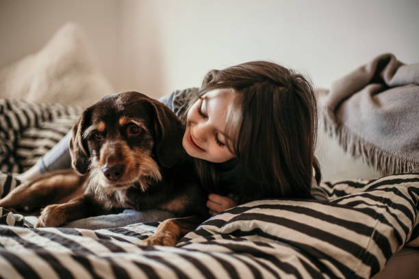 istock Older dog with his best friend on the bed 935708698