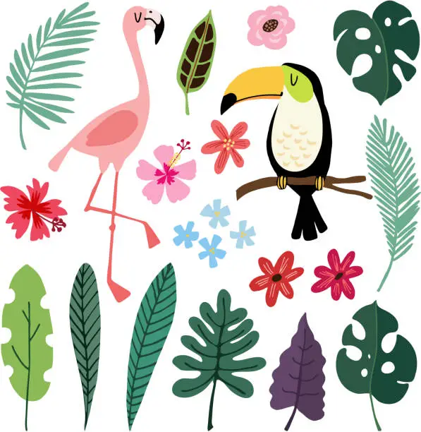 Vector illustration of Summer tropical graphic elements. Toucan and flamingo birds. Jungle floral illustrations, palm, monstera leaves, hibiscus flowers. Isolated illustrations, kids flat design, vectors. Exotic nature