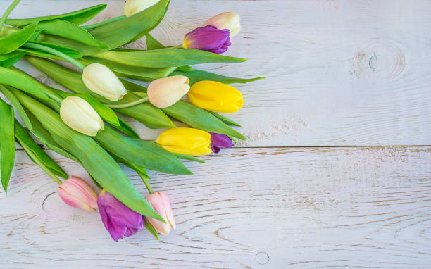 istock Bouquet of multicolored tulips 935715314