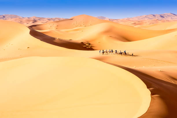istock Merzouga in the Sahara Desert in Morocco 935725790