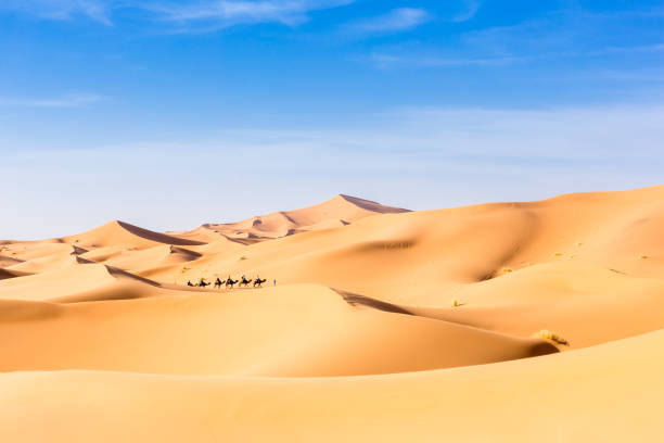 istock Merzouga in the Sahara Desert in Morocco 935725848