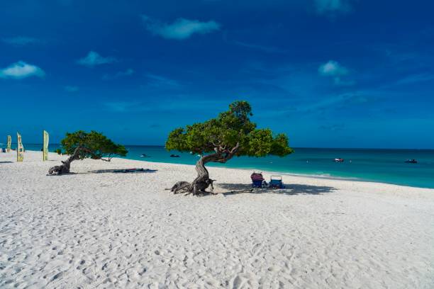 istock color caribbean island 935726010