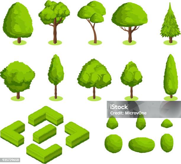 3d Isométrique Vecteur Parc Et Jardin Arbres Et Buissons Collection De Plantes Vert Forêt Vecteurs libres de droits et plus d'images vectorielles de Arbre