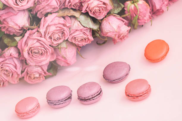 Macarons Diferentes Flores De Primavera Rosas Fondo Pastel Tierno Mañana Romántica Regalo Presente Para Amado Foto de stock y más banco de imágenes de Alimento - iStock Macarons Diferentes Flores De Primavera Rosas Fondo Pastel Tierno Mañana Romántica Regalo Presente Para Amado Foto de stock y más banco de imágenes de Alimento - iStock