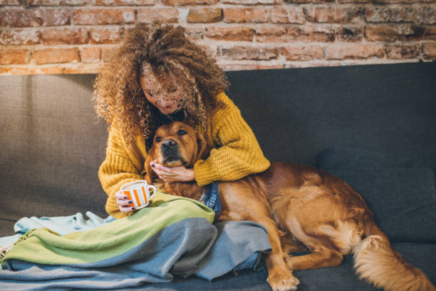 istock Woman playing with her dogs 935735718
