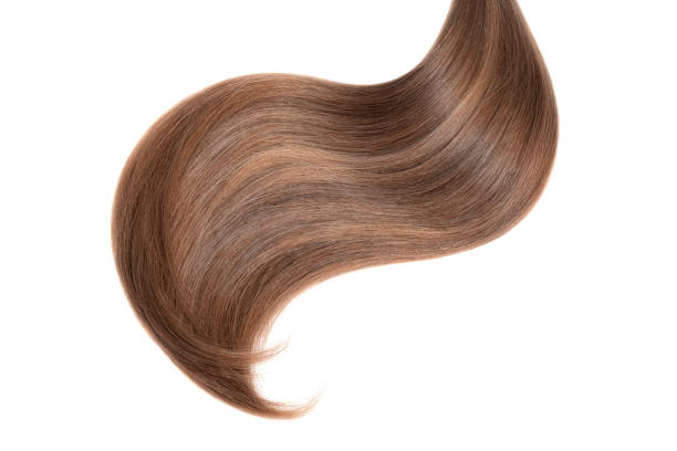 istock Curl of natural hair on a white background 935738888