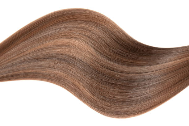 istock Curl of natural hair on a white background 935738894