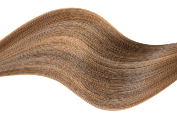 istock Curl of natural hair on a white background 935738900