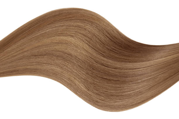 istock Curl of natural hair on a white background 935738906