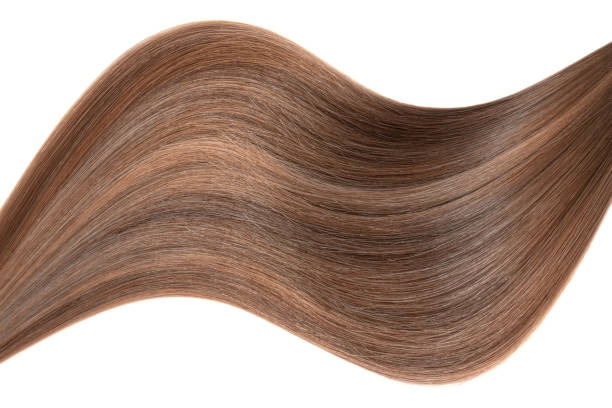istock Curl of natural hair on a white background 935738920