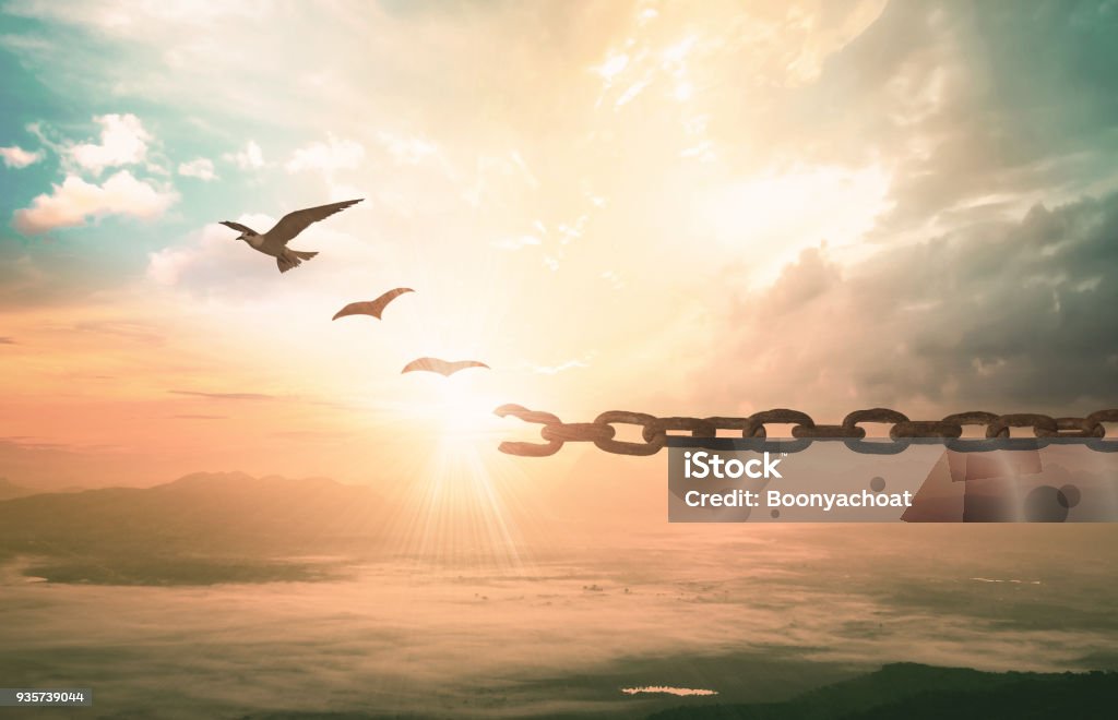 Freedom concept Silhouette of bird flying and broken chains at beautiful mountain sunset background Recovery Stock Photo