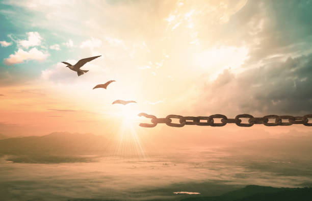 Freedom concept Silhouette of bird flying and broken chains at beautiful mountain sunset background releasing stock pictures, royalty-free photos & images
