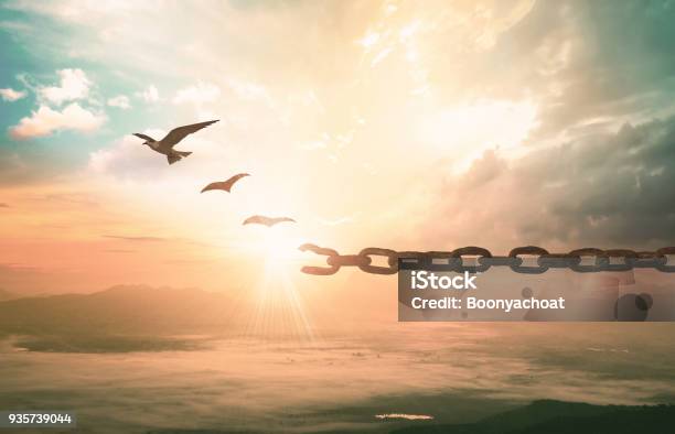 Freedom Concept Stock Photo - Download Image Now - Recovery, Emotion, Freedom