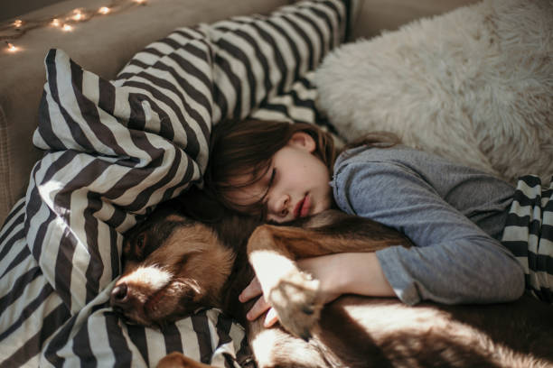 小さな女の子と彼女の犬のベッドで寝て - child house dog bed ストックフォトと画像