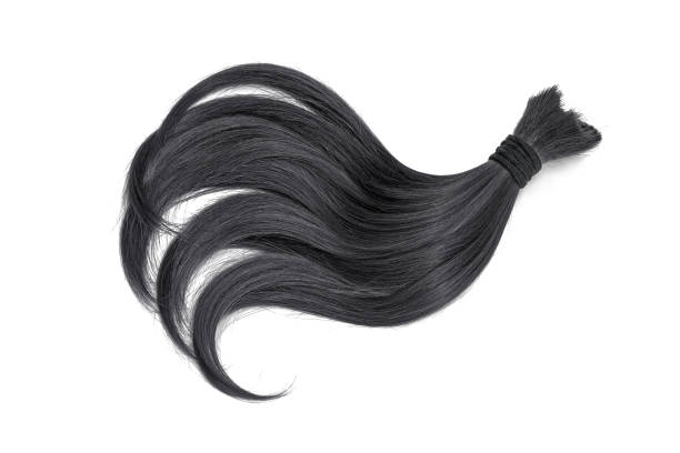 istock Black natural hair on white background 935742332
