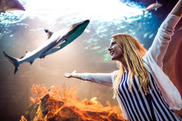 istock Woman in aquarium 935745026