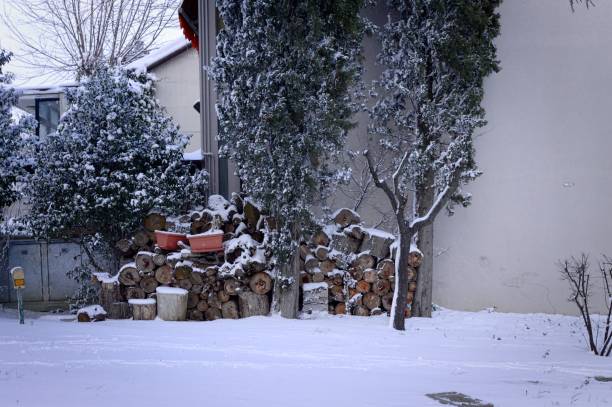 istock Fire Wood in the garden on the snow (Pesaro, Italy) 935745300
