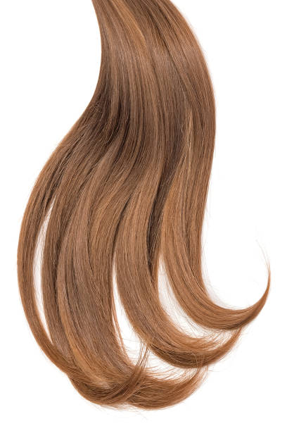 istock Curl of natural hair on a white background 935745588