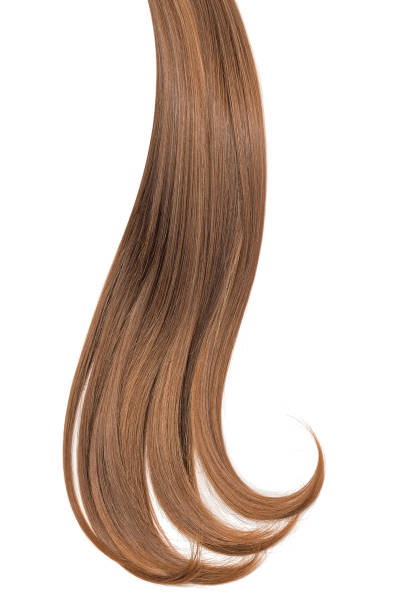 istock Curl of natural hair on a white background 935745632