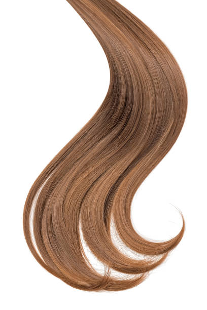 istock Curl of natural hair on a white background 935745642