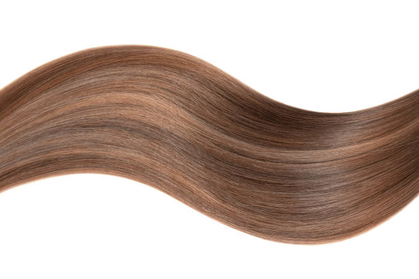 istock Curl of natural hair on a white background 935745668