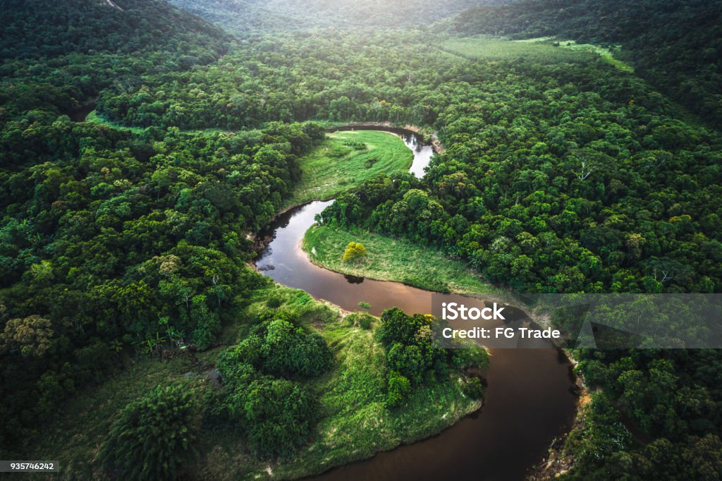 Mata Atlantica - Atlantic Forest in Brazil Drone Footage Amazon Rainforest Stock Photo