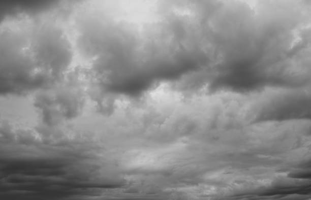 istock Beautiful cloudscape over horizon, gray sky. 935757216