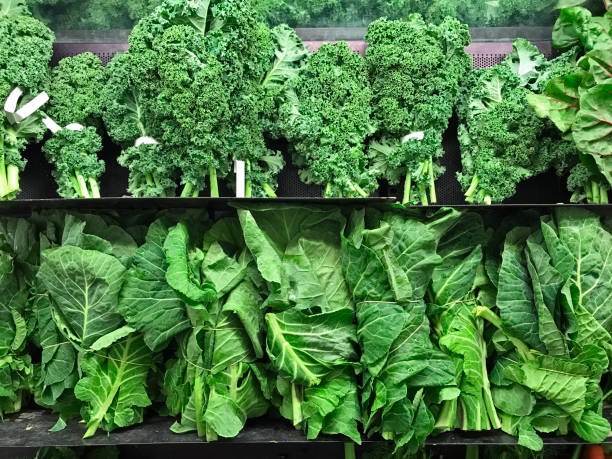 食料品 - kale chard vegetable cabbage ストックフォトと画像