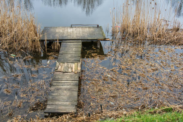 istock access to the coast on the Danube-Tisa-Danube canal 935770992
