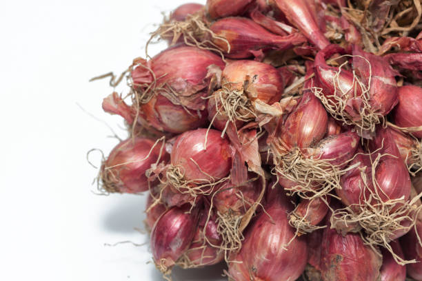 istock bunch of dried red onions on white background 935774364