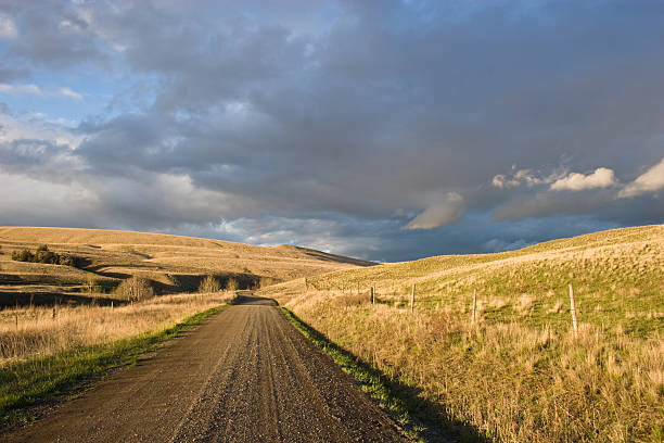 USA, Wshington state,  Palouse farmland.