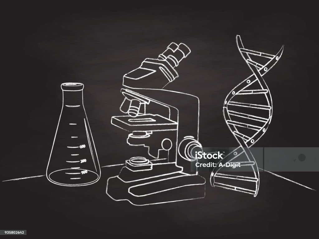 Dna Drawing Lab Dna Laboratory Instruments Stock Illustration - Download Image Now ...