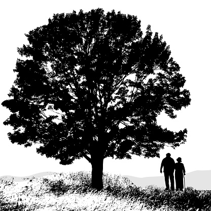 Old couple walking under a very large maple tree