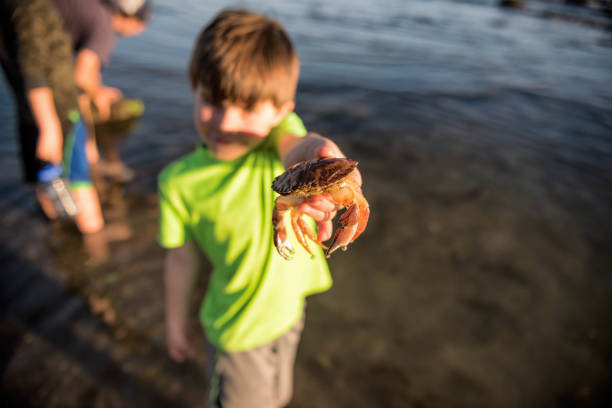 Family enjoying a beautiful sunset in the tide pools of Santa Barbara, father and son spend quality time together.