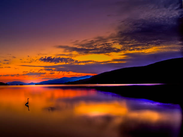 Lake george at dawn with loon in water& colorin sky