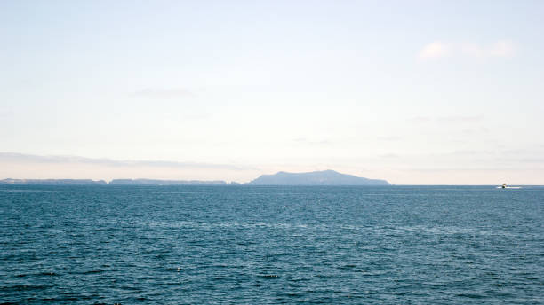istock Channel Islands, California 935809552