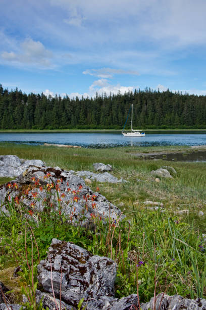 istock Sailboat at anchor with wildflowers in summer 935844150