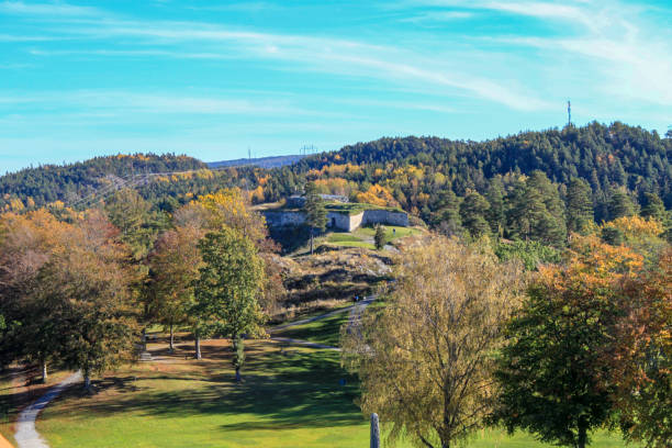 istock Autumn Hill in Norway 935852164