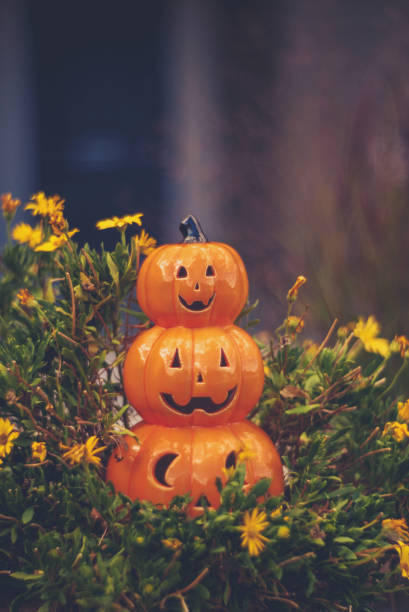 halloween jack o'lantern en pot de fleur bord de stoop - front stoop photos et images de collection